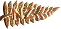 Military Index